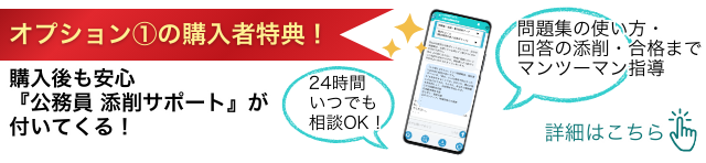 公務員試験添削サポートのご案内（詳しくはこちら）